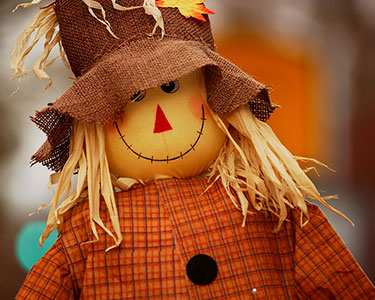 Kids Seminole County: Halloween and Fall Displays - Fun 4 Seminole Kids