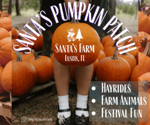Santa's Pumpkin Patch 2026