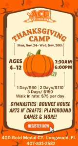 Ace Gymnastics Thanksgiving Camp