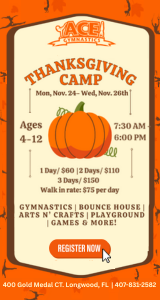 Ace Gymnastics Thanksgiving Camp