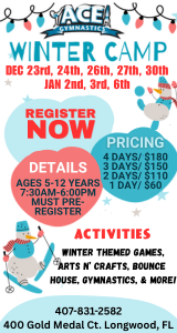 Ace Gymnastics Winter Camp