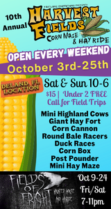Harvest Field Corn Maze