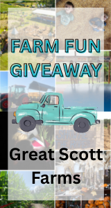 Enter our Giveaway