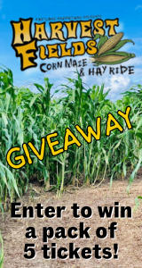 Enter our Giveaway