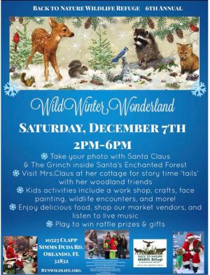 Wild Winter Wonderland At Back To Nature Wildlife Refuge Fun 4 Seminole Kids