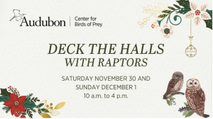 deckthehallsraptors.png