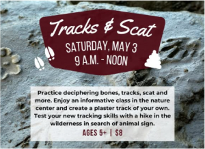 seminoletracksandscat.png