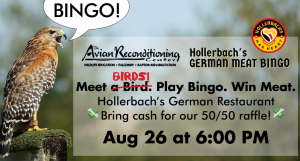 birdbingo.png