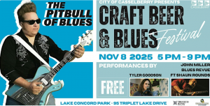 13th annual craft Beer and Blues Festival
