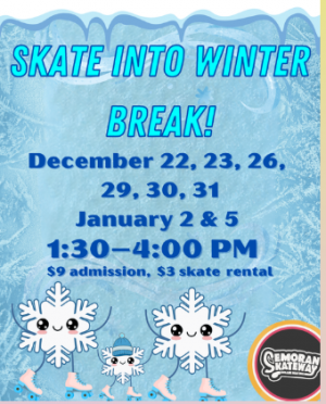 skatewinterbreak.png