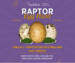 audubonraptoregghunt.png