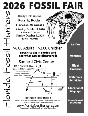 fossilfair.png
