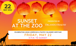 sunsetatthezoo.png