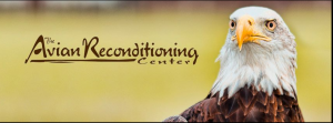 avianreconditioncenter.png