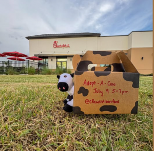cfawestsanfordadoptcow.png
