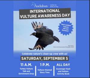 audubonvultureday.png