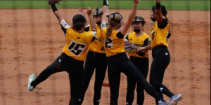 lakemarylittleleaguecelebration.png