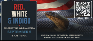 redwhiteindigozoo.png