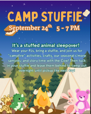 lakemarycampstuffie.png