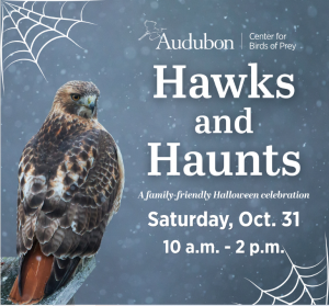 audubonhawksandhaunts.png
