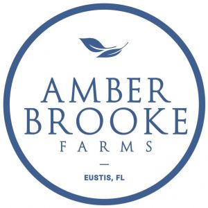 Amber Brooke Farms Christmas Time on the Farm