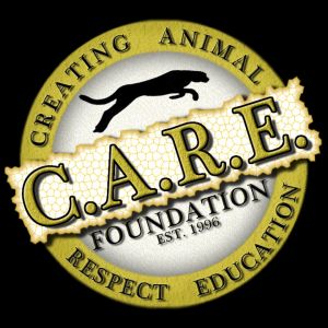 C.A.R.E. Foundation Education Programs