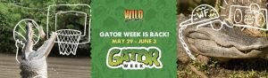 Wild Florida Gator Week