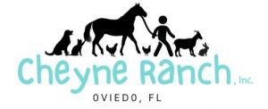 Cheyne Ranch Social Skills Class