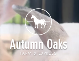 Autumn Oaks Farm