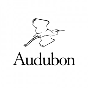 Audubon Center for Birds of Prey Raptor Camp