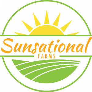 Sunsational Farms Fall Festival