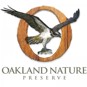 Oakland Nature Preserve Pumpkin Glow