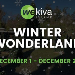 Wekiva Island Winter Wonderland