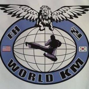 World KM Taekwondo Winter Break Camp