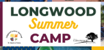City of Longwood Summer Camp