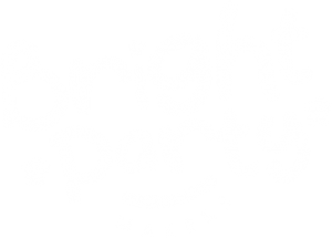 Bright Party Makers Soft Play