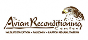 Avian Reconditioning Center