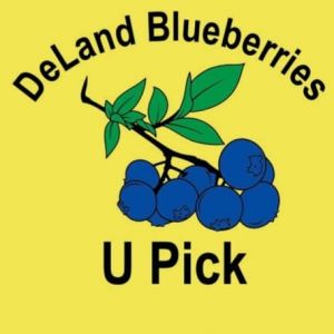 Deland Blueberries