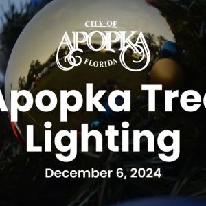 Apopka Tree Lighting