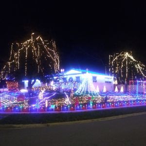 201 Holiday Lights