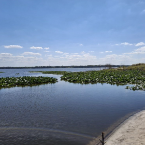 Lake Jessup Park