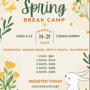 ACE Gymnastics Spring Break Camp