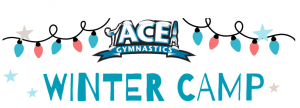 ACE Gymnastics Winter Break Camp