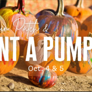 Lukas Nursery Pumpkin Patch