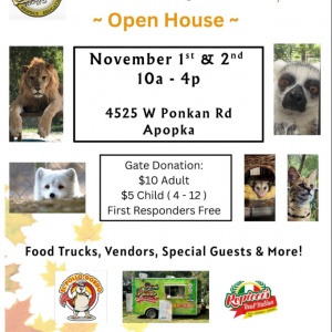 C.A.R.E. Foundation Fall Family Fest
