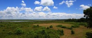Micanopy - Paynes Prairie Preserve State Park