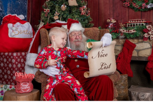 Holiday Mini Sessions with Amaduzzi Photo Studio