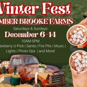 Amber Brooke Farms Winter Fest