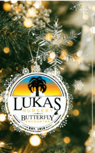 Lukas Nursery & Butterfly Encounter