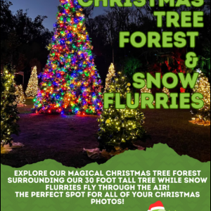 Wekiva Island Christmas Tree Forest and Snow Flurries